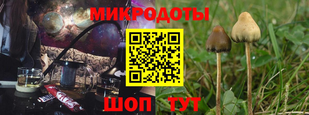 Галлюциногенные грибы GOLDEN TEACHER  Вход с VPN  Советский  Псилоцибиновые грибы мухоморы 